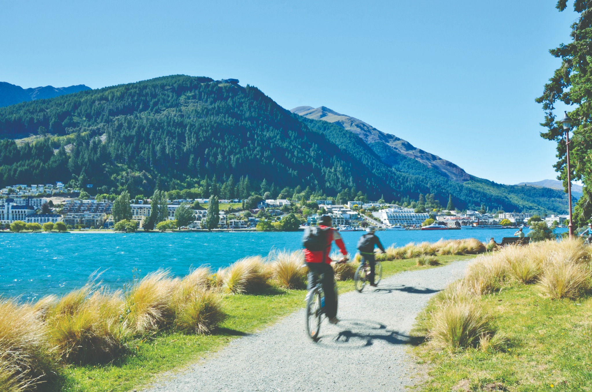 Queenstown landscape